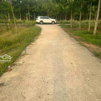 Chủ Cần Gấp Lô Đất Với Diện Tích 204M Vuông , Tại Xã Tân Lợi, Huyện Đồng Phú Bình Phước