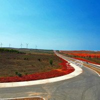 Đất Mặt Tiền Đường Hàm Kiệm Tiến Thành Gần Biển Và Novaworld, Đầu Tư Sinh Lời Cao Tổng Hợp Giá Tốt.