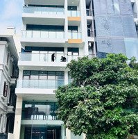 Tòa Nhà Mặt Tiền Đường Phổ Quang 7X25M Hầm Trệt 5 Lầu Cho Thuê