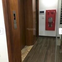 Cho thuê nhà phân lô Huỳnh Thúc Kháng Đống Đa ô tô tránh vỉa hè KD sầm uất 70m2 8T thang máy PCCC đủ