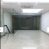 Cho thuê nhà phân lô Huỳnh Thúc Kháng Đống Đa ô tô tránh vỉa hè KD sầm uất 70m2 8T thang máy PCCC đủ