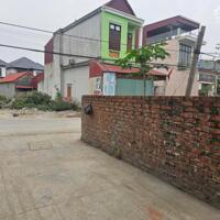 Bán lô đất ngõ 217 Cát Linh, Tràng Cát 52m2 giá chỉ 1.16 tỷ
