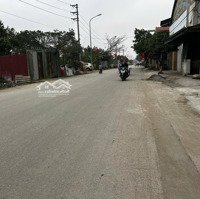 Cho Thuê Kho Xưởng Tại Đông Anh
- Xã Bắc Hồng- Đông Anh