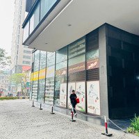 Bán Shophouse Chân Đế Tại Tòa Nhà Dolphin Plaza 28 Trần Bình, 22,5 Tỷ, 127M2 Siêu Vip
