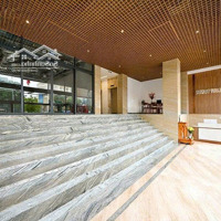 Thu Nhập 8.4 Tỷ/Năm! Buildingmặt Tiềntrường Sơn P.2 Q.tân Bình - 460M2 (20X24M) Hầm 9 Tầng. Giá Bán 186 Tỷ