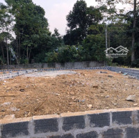 Bán Đất 126M2,Mặt Tiền7M, Tại Đường Phú Mãn, Quốc Oai, Hà Nội, 2,75 Tỷ