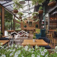 Hiếm - Cho Thuê Nhà Mặt Phố Quảng An, Diện Tích: 300M2 Có Sân Vườn, Mt: 10M Nhận Diện Đỉnh,View Hồ Siêu Đẹp