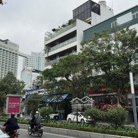 Bán Đất Biệt Thự Lô Góc Mặt Phố Lạc Long Quân Khu Vườn Đào Tây Hồ Tây.