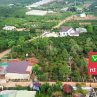 570 Triệu/198M2(5X39M) Đất Xã Mê Linh Cách Đà Lạt 6Km, Đất Đẹp Bằng, Cách Dt725 3Km, Sẵn Sổ, Sẵn Thổ Cư