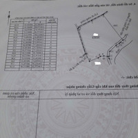 Chính Chủ Cần Bán 3630 Đất Đối Diện Ủy Ban Xã Đông Thạnh Cần Giuộc Long An. Giá Bán 2.9 Tỷ