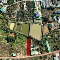 Cần Bán Lô Đất Biệt Thư 524M Giá Chỉ 2,1Tỷ, Phường Lộc Thành, Tp Bảo Lộc.