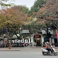 Cho Thuê Nhà Mặt Phố Quảng An. Sân Vườn Không Gian Xanh Cực Đỉnh. Diện Tích Hơn 300M2. Mặt Tiền 10M