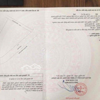 Bán Lô Góc Đà Sơn 5 Và Đà Sơn 8, Giá Bán 4,7 Tỷ, Diện Tích 185.8M2, Sát Đại Học Duy Tân