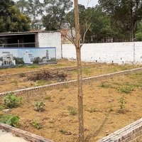 Chính Chủ Cắt Lỗ Cần Bán 03 Lô Đất Rẻ Nhất Cổ Đông
