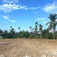 Chào Hàng F0 Thiên Hương Thuỷ Nguyên Hải Phòng, Giá 6Xx