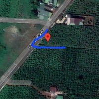 ( Tp Bảo Lộc ) Đất Nhà Gia Đình Cần Bán 2905M2 Giá Bán 10Ty500 Triệu, Phường Lộc Phát, Tp Bảo Lộc