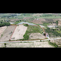 Bán Gấp 1,6Ha Đất Mặt Tiền Đại Lộ Qh 33M, Gần Ql 29, Sát Uỷ Ban, Bên Trường Học, Trạm Y Tế & Khu Cn