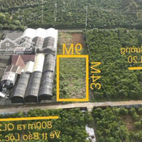 Đất Cần Bán Mặt Tiền Đường Trinhj Hoài Đức Thông Nguyễn Huy Tường, Xã Lộc Nga, Tp.bảo Lộc