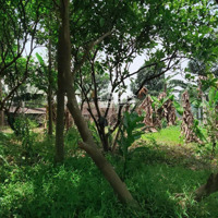 Cần Tiền Kinh Doanh Cần Bán Gấp 400M2 Đất Lô Góc Ngõ Ô Tô Chỉ 1,2 Tỷ