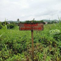 Cần Ra Lô Đất Chợ Đình, Tịnh Bình, Sơn Tịnh, Quảng Ngãi
