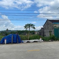 Cần Ra Lô Đất Chợ Đình, Tịnh Bình, Sơn Tịnh, Quảng Ngãi