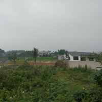 541M2 Đất Khai Hoang Bám Suối Tại Yên Bài Tài Chính Chỉ Hơn 1 Tỷ 0988908583