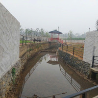 541M2 Đất Khai Hoang Bám Suối Tại Yên Bài Tài Chính Chỉ Hơn 1 Tỷ 0988908583