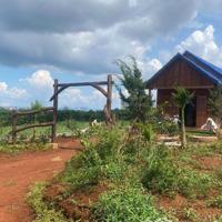 Bán Đất View Đẹp - Không Khí Mát Lạnh Quanh Năm Tại Di Linh, Lâm Đồng