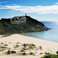 Chỉ 2,7 Tỷ Bạn Đã Sở Hữu Được Lô Đất Mặt Biển Đại Lãnh, Nơi Có Bãi Biển Tuyệt Đẹp Kkt Vân Phong
