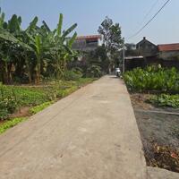 Cần bán đất Tràng Cát, Kim An, Thanh Oai, Hà Nội 40m2 giá 1,3 tỷ.