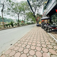 Bán Nhà Mặt Phố Nguyễn Khang Cầu Giấy, 50 Tỷ, 100M2, 5Tầng Thang Máy, Kinh Doanh, Văn Phòng Đỉnh