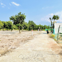 Đất Biệt Thự Suối Tiên Đường Ô Tô Thông Thoáng Gần Dân Điện Nước Đầy Đủ Thổ Cư Full