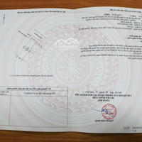 Đấu Giá Vân Hà Đón Đầu Sóng Cầu Tứ Liên 2025 Giá Đầu Tư Đầu 7X Tr/M Diện Tích 130.8M