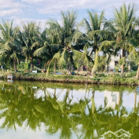 Bán Đất Tại Tống Văn Sương, Cẩm Thanh, Hội An, 8,55 Tỷ, 387M2, Chính Chủ Giá Cực Chất