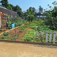 Bán Lô Đất Đẹp 85,8M2 - Giá Rẻ Nhất Khu Vực Đồng Trúc