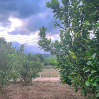 Đất Khánh Phú, Khánh Vĩnh, Hương Lộ 62.Diện Tích1868M2 - 1,2 Tỷ