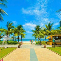 Sập Hầm- Nhà Mặt Phố Tô Hiến Thành -Sát Góc Nguyễn Văn Thoại -Ở Kinh Doanh Đỉnh - Đầu Tư Tốt-8.X Tỷ