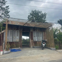 Bán Rẻ Đất Lạc Hòa, Cạnh Diên Lạc, Ngay Đường Qh 20M, Có Sẵn Mô Hình Kinh Doanh Cf Dịch Vụ Ăn Uống