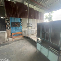 Bán Rẻ Đất Lạc Hòa, Cạnh Diên Lạc, Ngay Đường Qh 20M, Có Sẵn Mô Hình Kinh Doanh Cf Dịch Vụ Ăn Uống