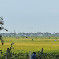 Bán Đất Lê Thánh Tông View Lúa, 4,5 Tỷ, 104 M2, Pháp Lý Đầy Đủ, Hội An, Quảng Nam, Giá Cực Chất