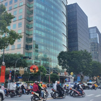 Building Mặt Tiền Lê Hồng Phong Q. 10, Dt: 15 X 12M, Hầm 6 Lầu, Hdt: 250 Triệu Giá Bán 82.5 Tỷ