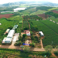 Bán Đất Thổ Cư View Đẹp Thôn Phú Cao, Xã Tà Hine, Huyện Đức Trọng, Lâm Đồng