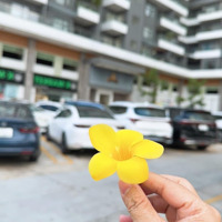 Lô Góc 2 Mặt Tiền,Diện Tíchkhủng 514M2, Vị Trí Vàng Sông Hàn, Trần Hưng Đạo Sơn Trà Chỉ 115 Tỷ.