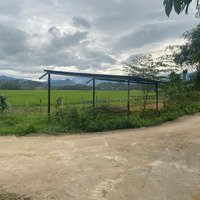 Bán Đất Hòa Nhơn, 590 Triệu, 568 M2, Giá Tốt, View Đẹp, Hòa Vang, Đà Nẵng
