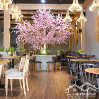 Cho Thuê Nhà Mặt Phố Gần Vincom Bà Triệu, Diện Tích 180M X 5 Tầng,Mặt Tiền6M, Mọi Mô Hình Kinh Doanh