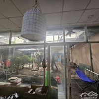 Cho Thuê Nhàmặt Tiềnđường Lý Thánh Tông, Quận Tân Phú, 1 Trệt 2 Lầu, Diện Tích: 264M2, Giá Bán 50 Triệu