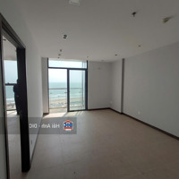 Sở Hữu Căn Hộ Nghỉ Dưỡng Csj Tower Mặt Tiền Biển Thùy Vân Vũng Tàu Giá Siêu Tốt