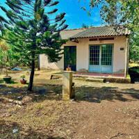 4467m2 đất vườn trái cây ở xã Phú Mỹ Hưng, Củ Chi giá 5,8 tỷ