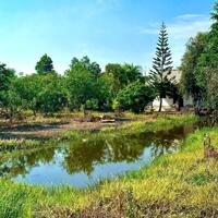 4467m2 đất vườn trái cây ở xã Phú Mỹ Hưng, Củ Chi giá 5,8 tỷ