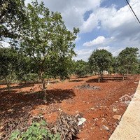 Giá Tốt Cho Mọi Nhà. Bán Đất Đẹp 1.000M2 Tại Xã Mê Linh, Lâm Hà, Lâm Đồng, Giá Bán 1,85 Tỷ